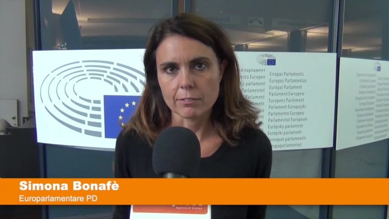 Bonafè “Parlamento Ue vuole taglio emissioni più netto”
