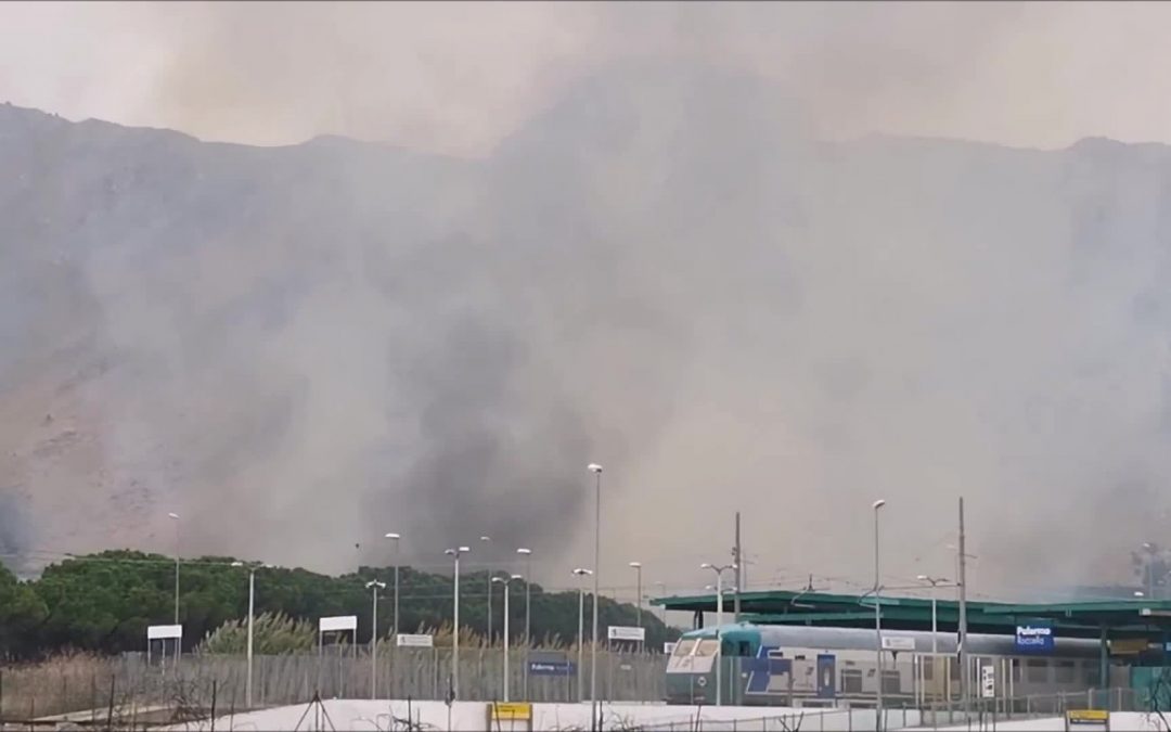 Incendio alle porte di Palermo, lambite abitazioni