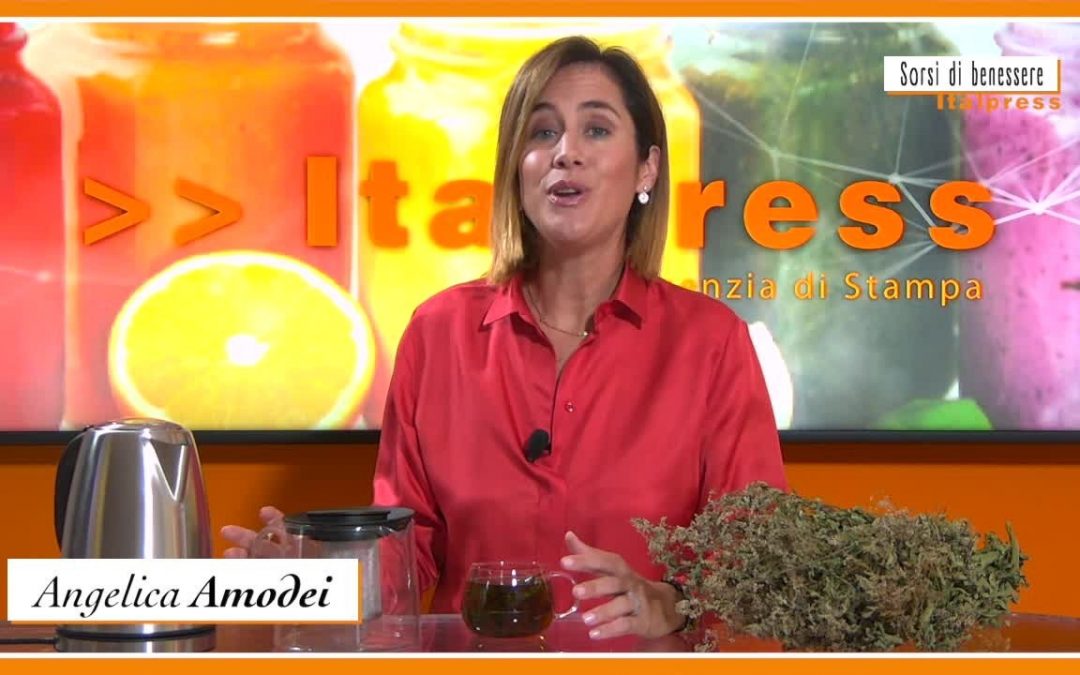 Sorsi di Benessere – La tisana con la verbena