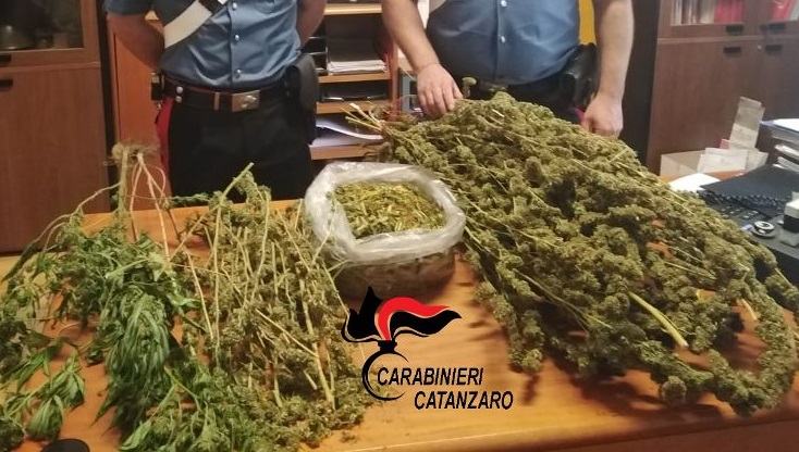 Droga: nascondeva 1,9 chilogrammi di marijuana, arrestato trentenne a Catanzaro