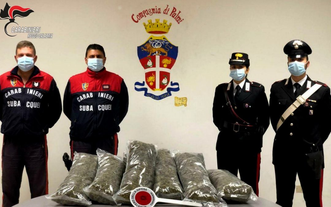 La droga sequestrata