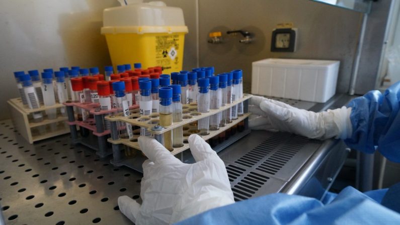 Tumori, primo report in Italia sulle terapie CAR-T
