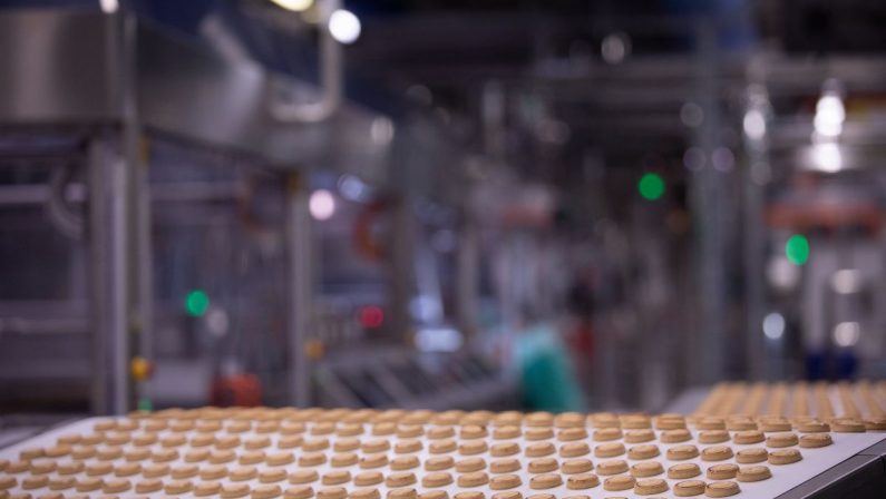 Record per i Nutella Biscuits, Ferrero investe altri 80 mln e assume