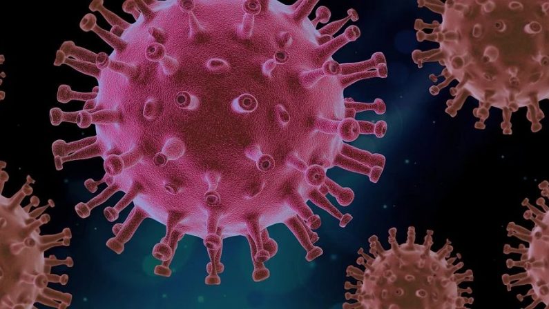 Sequenziato il genoma del virus SARS-CoV-2 che circola in Sicilia