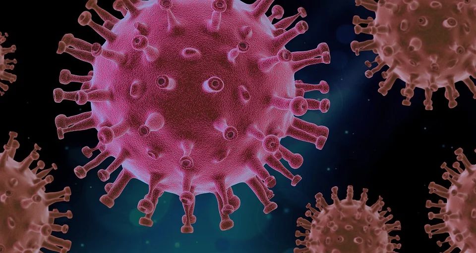 Sequenziato il genoma del virus SARS-CoV-2 che circola in Sicilia