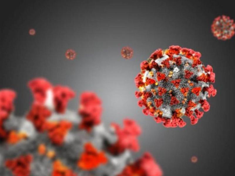 Coronavirus, in Calabria 376 nuovi casi positivi