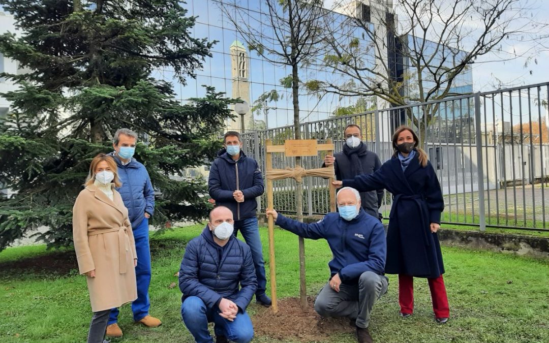 Snam, piantato il primo albero di una foresta di 3 mila piante