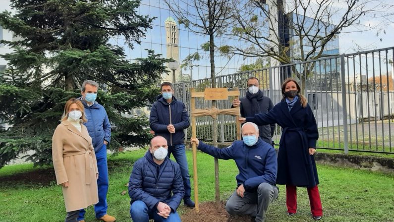 Snam, piantato il primo albero di una foresta di 3 mila piante