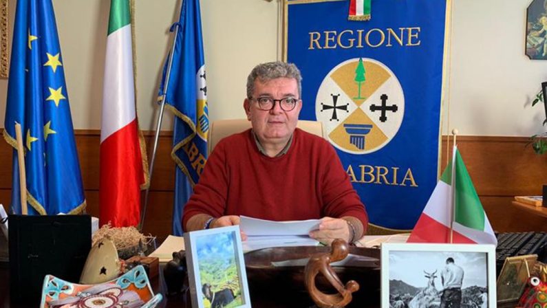 Elezioni provinciali a Cosenza e Reggio, dura protesta di Spirlì contro il Governo