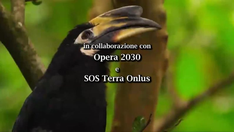 Madre Terra – 18° Rapporto ‘Gli italiani, il solare e la green economy’
