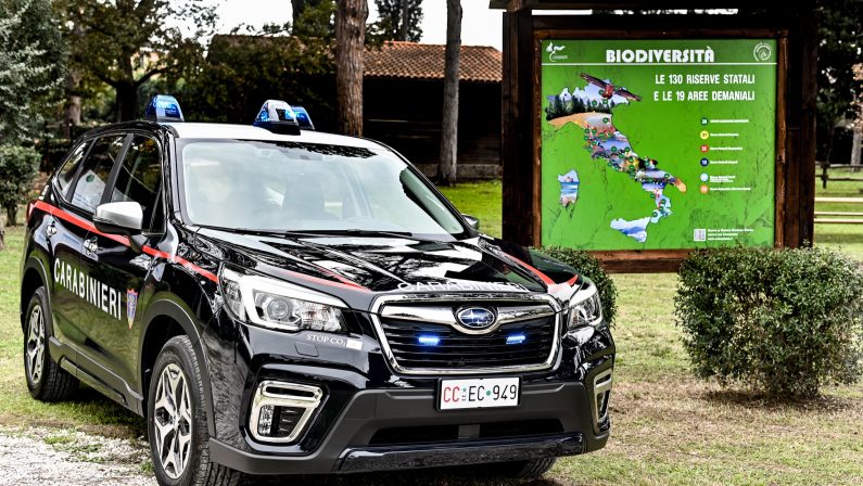 Subaru Forester e-Boxer pronta a sorvegliare i parchi nazionali