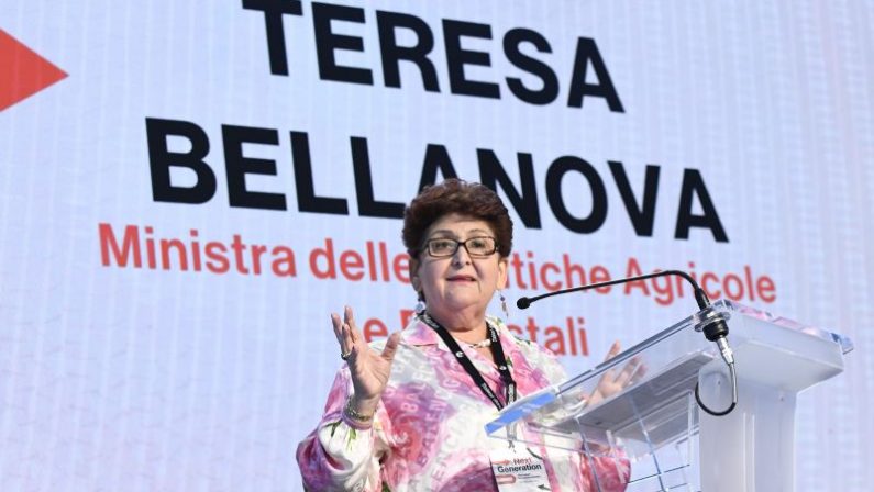 Bellanova “Conte ritiri norma su task force, non generi tensioni”
