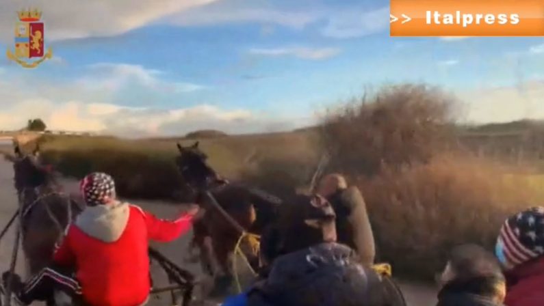 Corsa clandestina di cavalli, 38 denunce nell’agrigentino