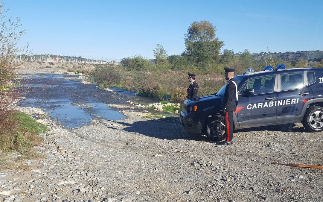 Controlli in oleifici, multe e denunce nella Piana di Gioia Tauro