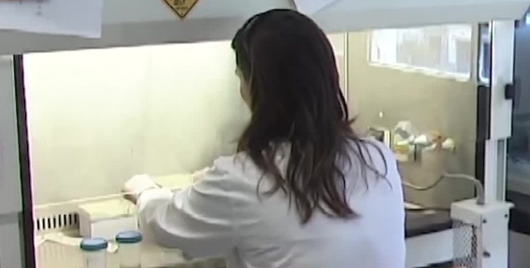 Coronavirus in Calabria, quasi 300 nuovi casi ma il tasso di positività è stabile intorno all’8%