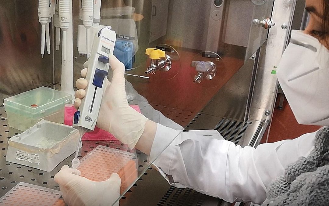 Coronavirus in Calabria, a breve in funzione il laboratorio Unical per tamponi