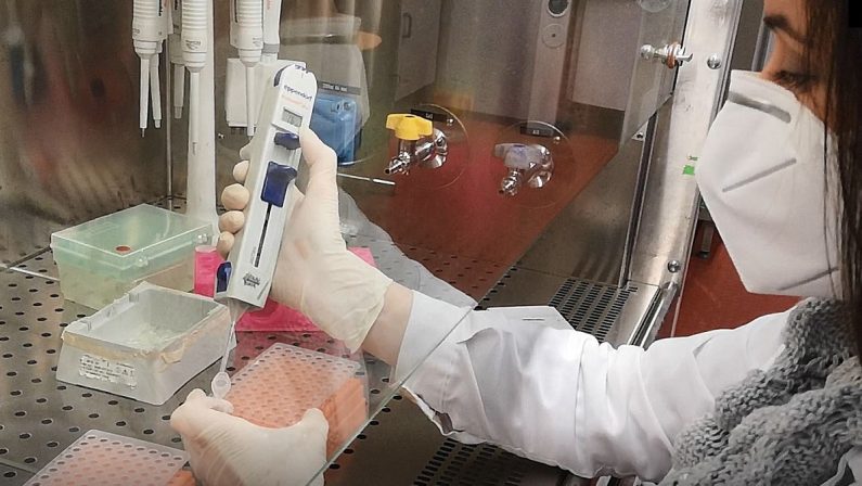 Coronavirus in Calabria, a breve in funzione il laboratorio Unical per tamponi