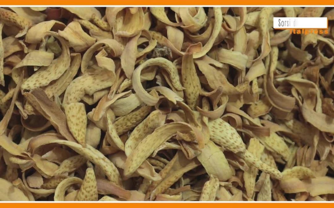 Sorsi di benessere – Una tisana anti ansia