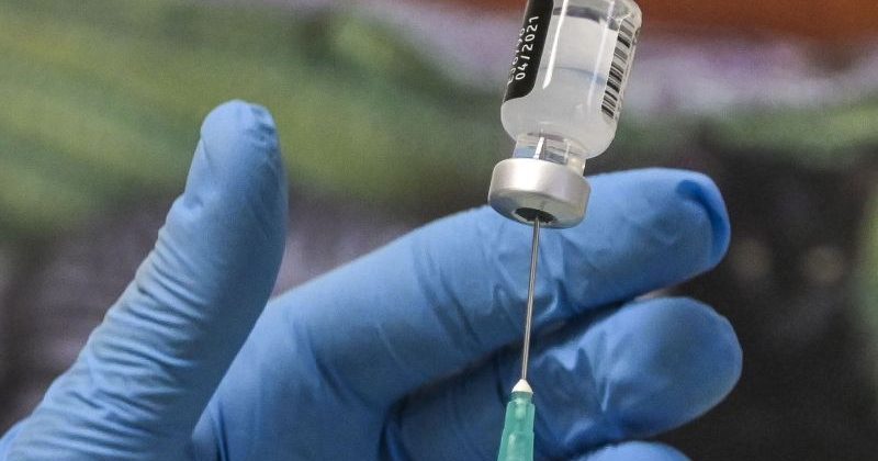 Coronavirus, la Calabria non riesce a vaccinare la popolazione: fermi al 43% delle dosi disponibili