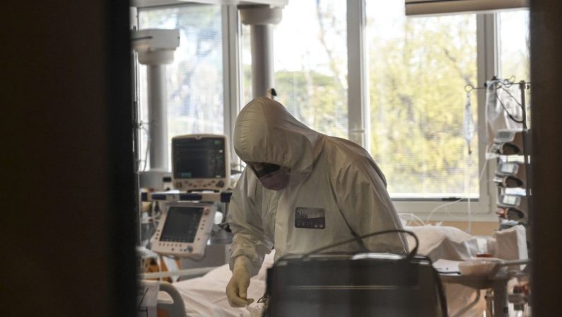 Coronavirus, 10.593 nuovi casi e 541 decessi in 24 ore