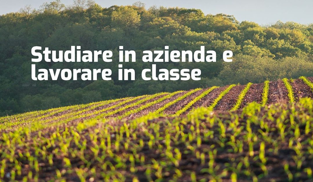 La Fondazione PINTA organizza corsi di tecnico superiore nel settore agroalimentare, enogastronomia e del food