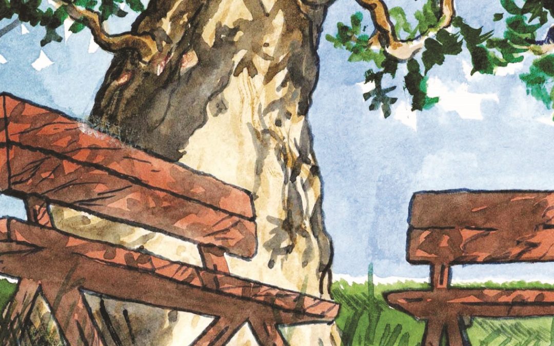 I sogni sulle panchine