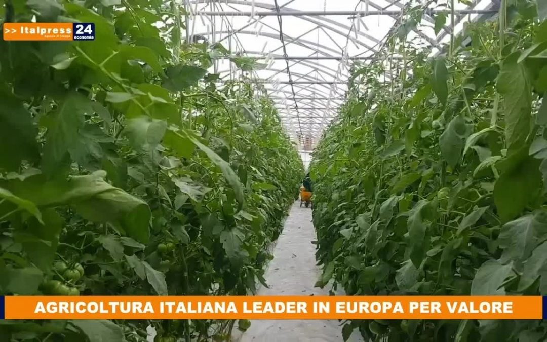 Agricoltura italiana leader in Europa per valore aggiunto