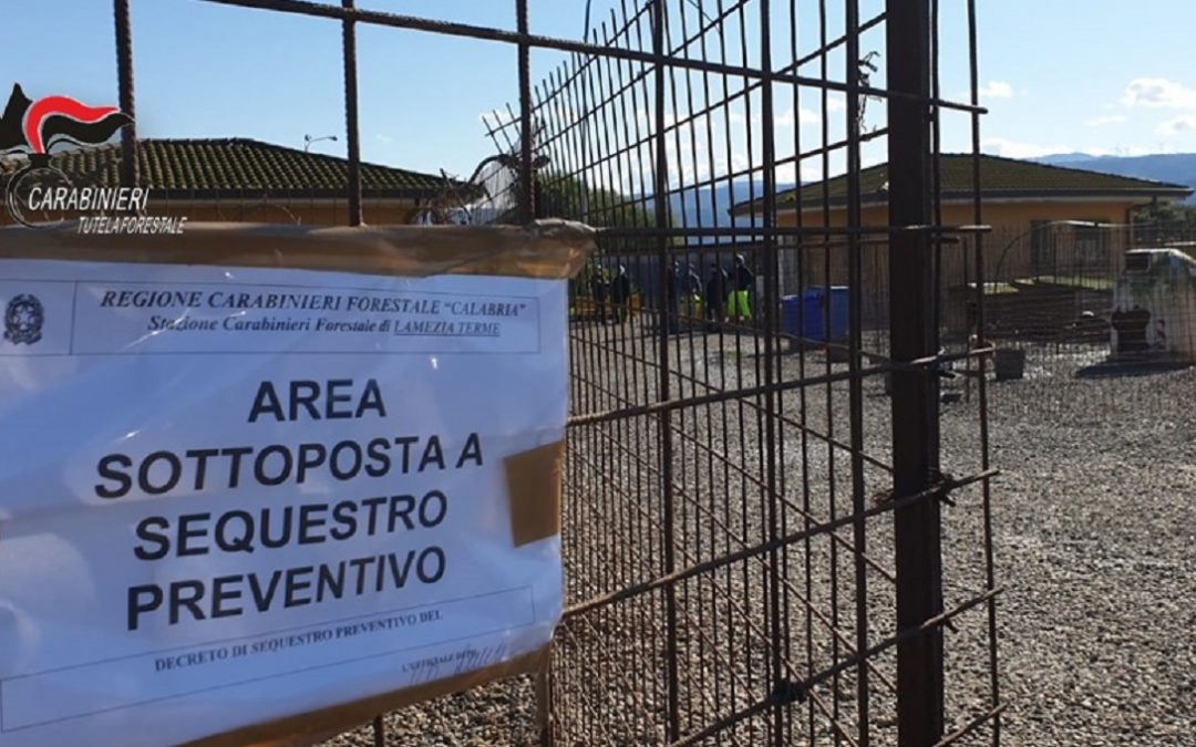 Lamezia Terme, sigilli al canile comunale: sequestrati quasi 300 animali