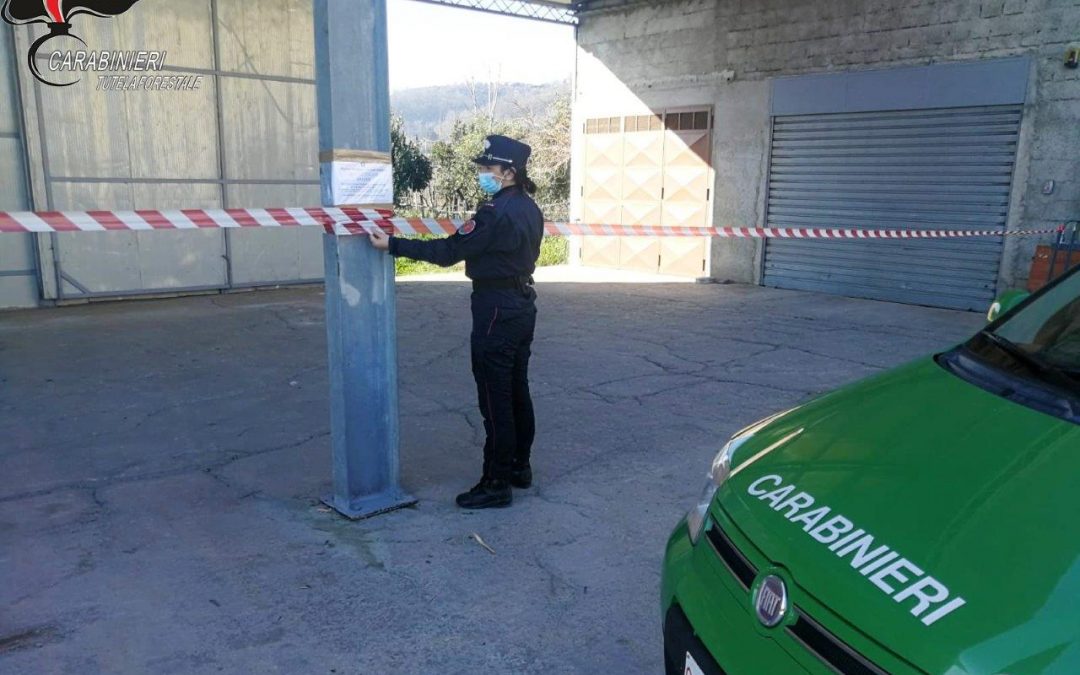 Sequestrata nel Cosentino una struttura abusiva adibita a deposito da un’azienda edile: denunciato un imprenditore
