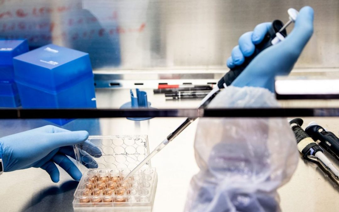 Farmaci, le terapie per le malattie rare motore dell’innovazione