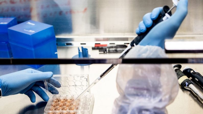 Farmaci, le terapie per le malattie rare motore dell’innovazione
