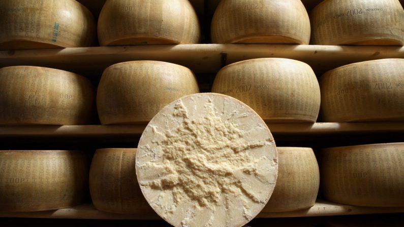 Parmigiano Reggiano, nel 2020 +7.9% vendite in Italia, +10.7% all’estero