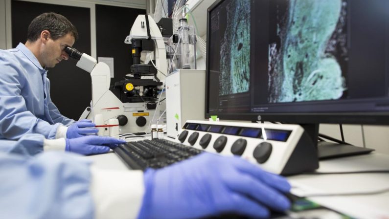 Covid, in netto calo le diagnosi di malattie rare
