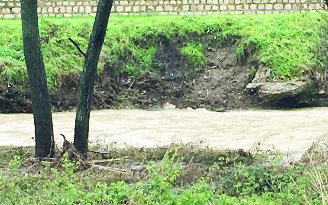Il fiume Basento