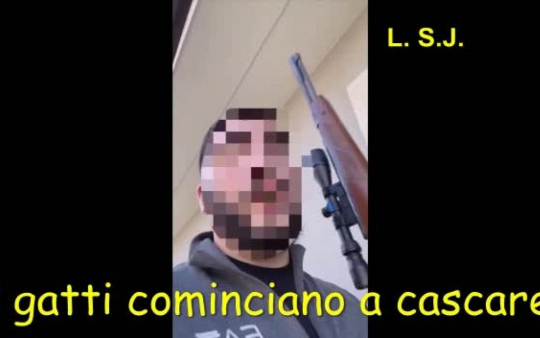 Operazione DDA Catania, uomo uccide un gatto con un fucile di precisione
