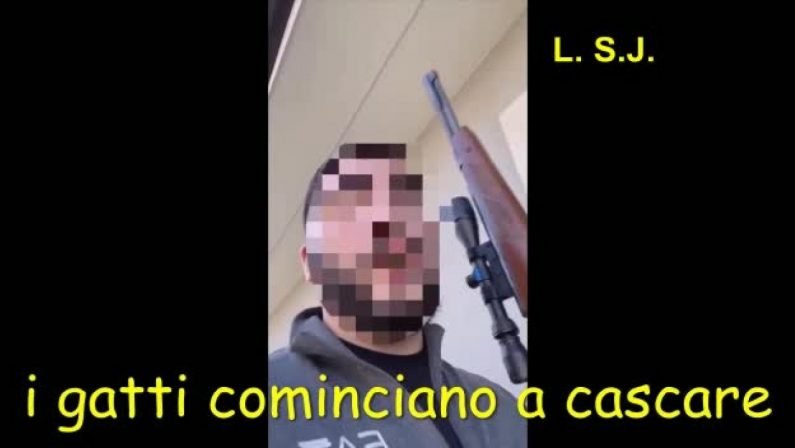 Operazione DDA Catania, uomo uccide un gatto con un fucile di precisione