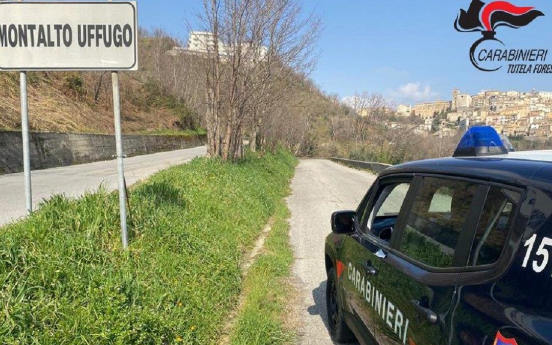 I carabinieri del nucleo forestale di Montalto Uffugo