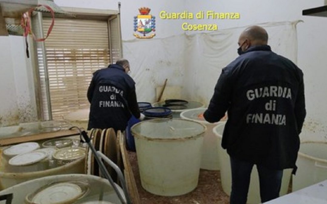 Grappa prodotta clandestinamente a Cosenza, sequestrata una distilleria abusiva