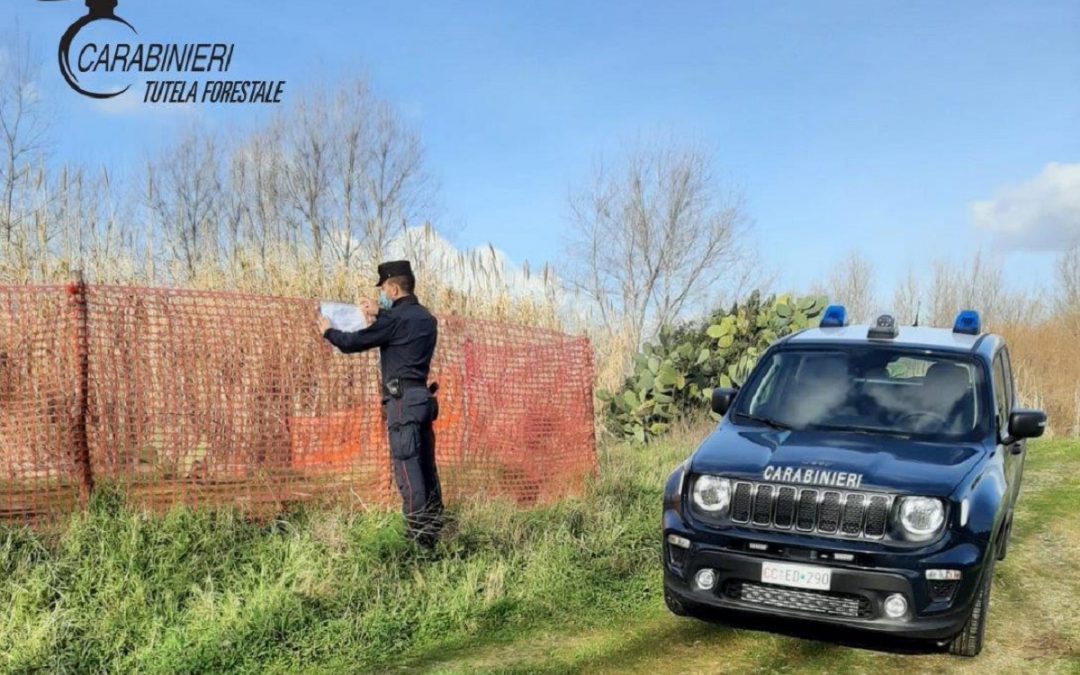 I sigilli posti dai carabinieri