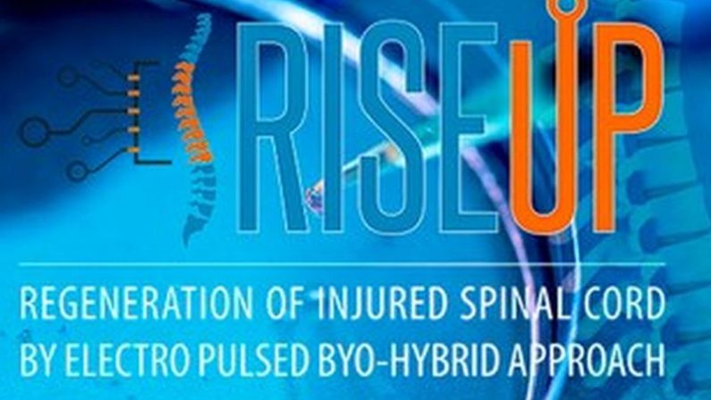 Nuovo metodo per rigenerare le lesioni del midollo spinale