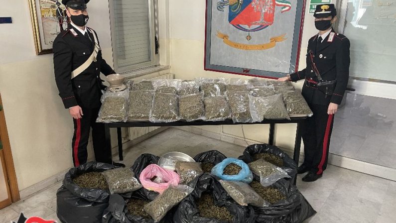 Droga: coniugi con 54 chili di marijuana in casa, arrestati a Lamezia
