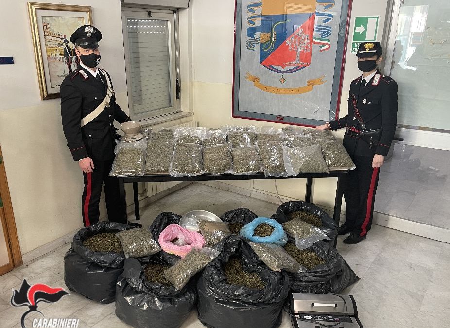 La droga sequestrata ai coniugi