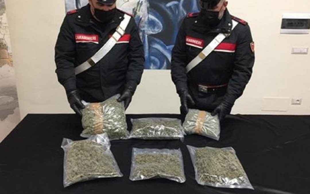 La marijuana sequestrata dai carabinieri