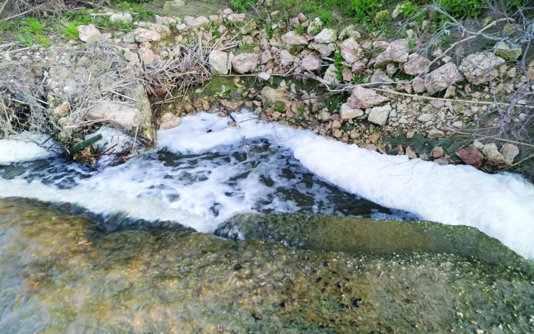 La schiuma biancastra visibile nel torrente Gravina a Picciano