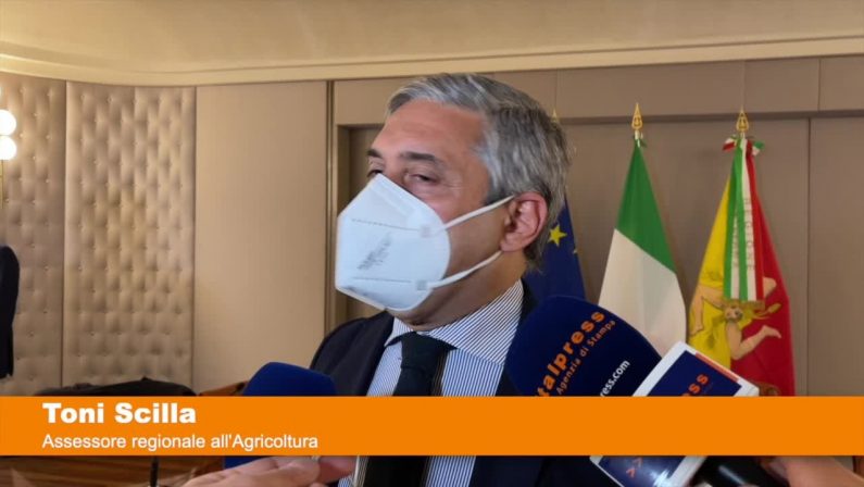 Quindici milioni per le aziende agricole siciliane
