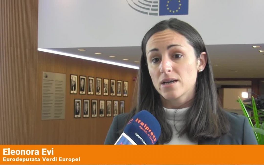 Ue, Evi “Negli allevamenti stop all’uso delle gabbie”