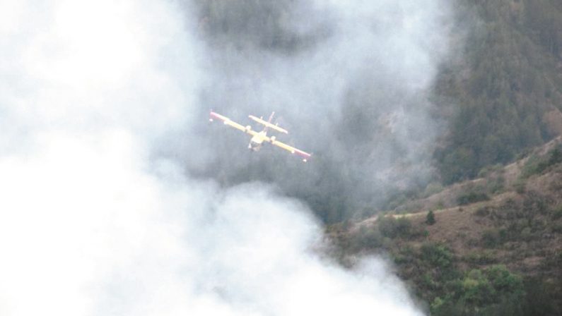 Incendio sul Gargano, in fiamme 30 ettari di bosco