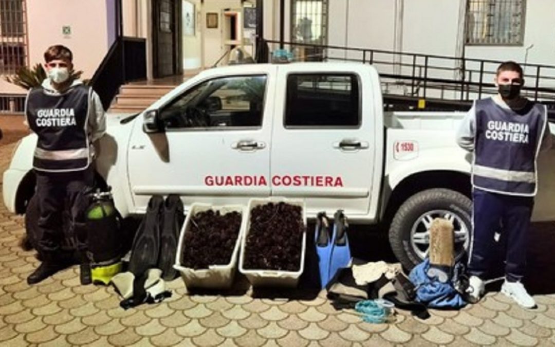 Trovati con 1.800 ricci di mare, multa per tre pescatori