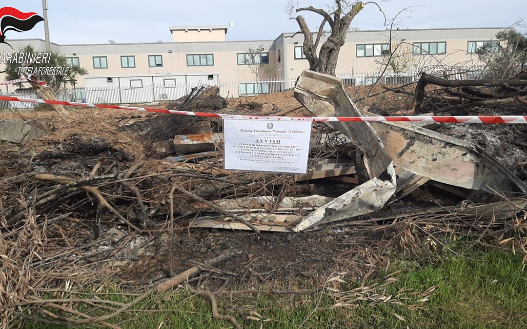 Incendiano cumuli di rifiuti e il fumo invade un call center, denunciate tre persone nel Cosentino