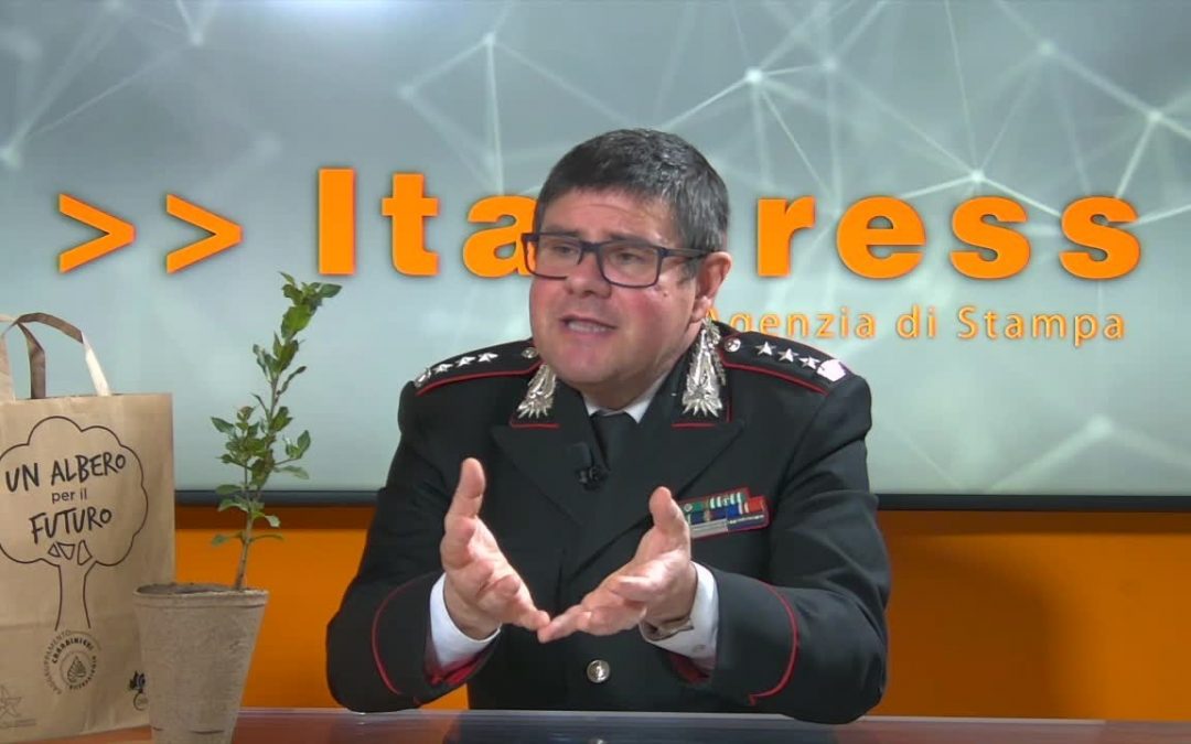 Dall’Albero Falcone nascono le piantine della legalità